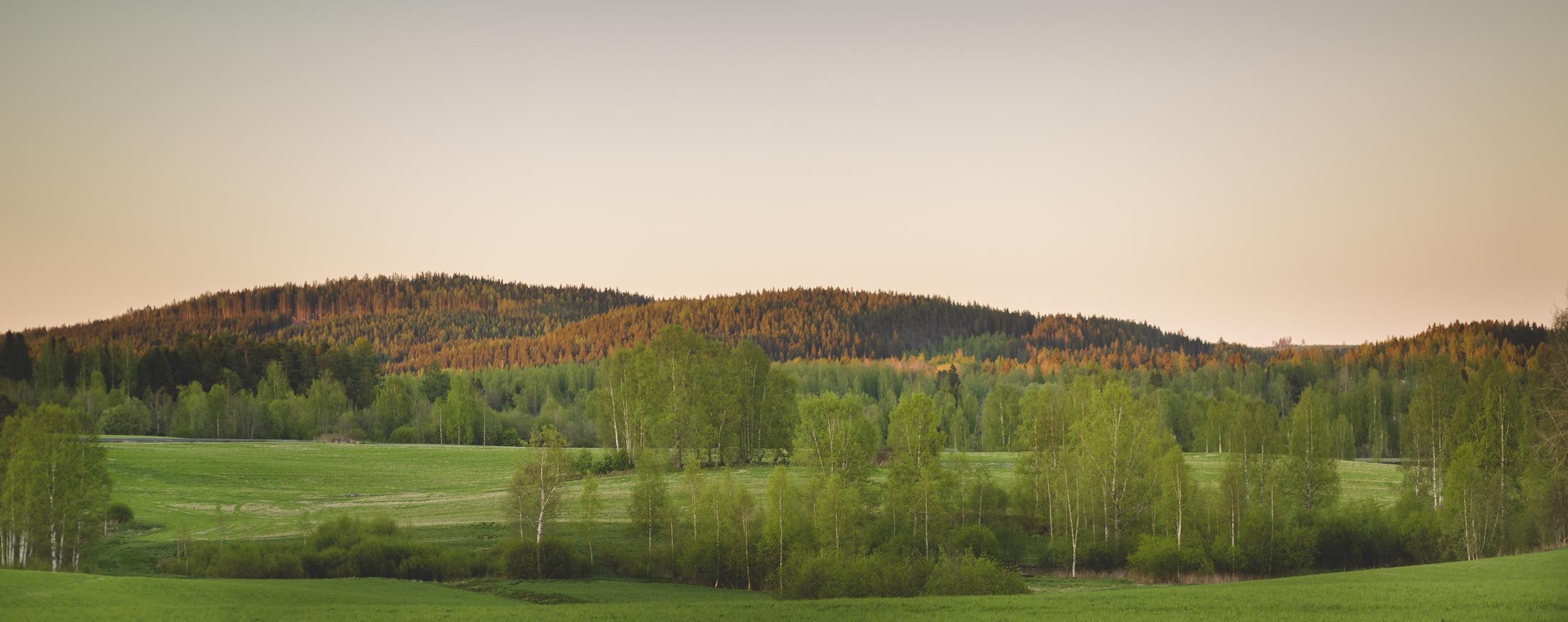 ruokaa omasta maasta banneri